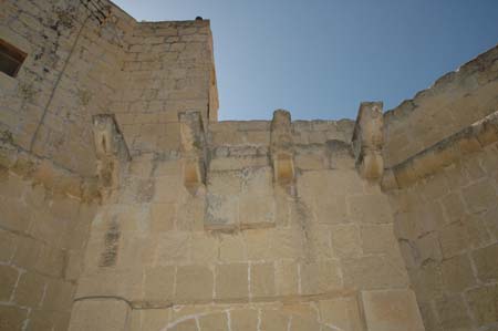 torrimamo_ext003