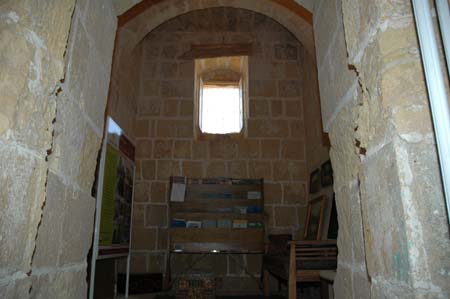torrimamo_int016